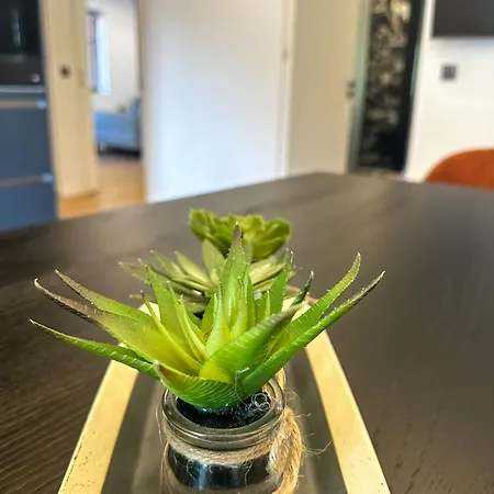 Eipprova Deluxe Appartement *