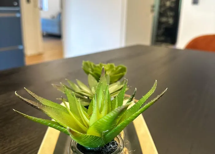 Eipprova Deluxe アパート *